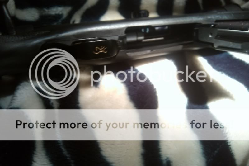 IMAG0114.jpg