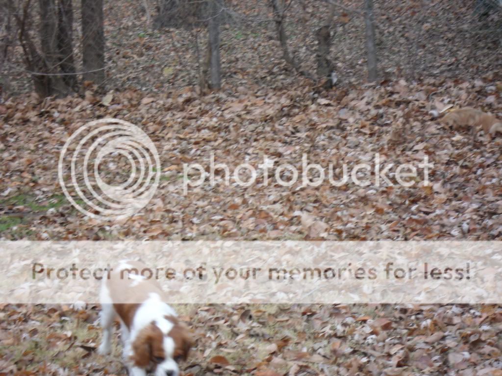 SAM_0418.jpg