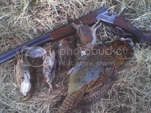 birdhunt.jpg