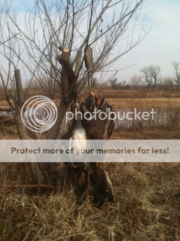 photo2-4.jpg