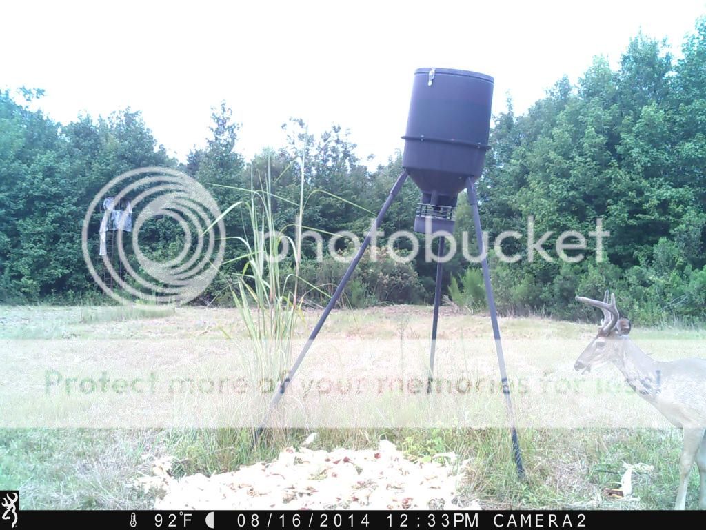 IMG_0016_zps324d60e3.jpg