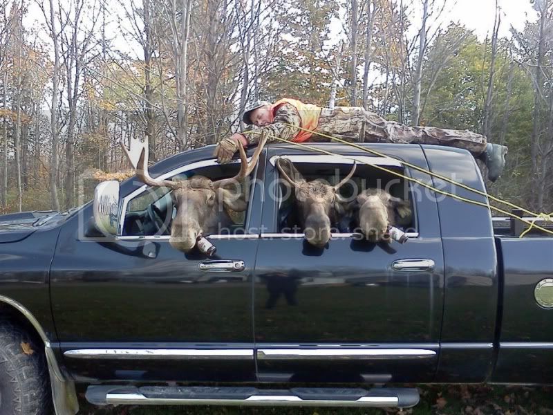 baddayhunting.jpg