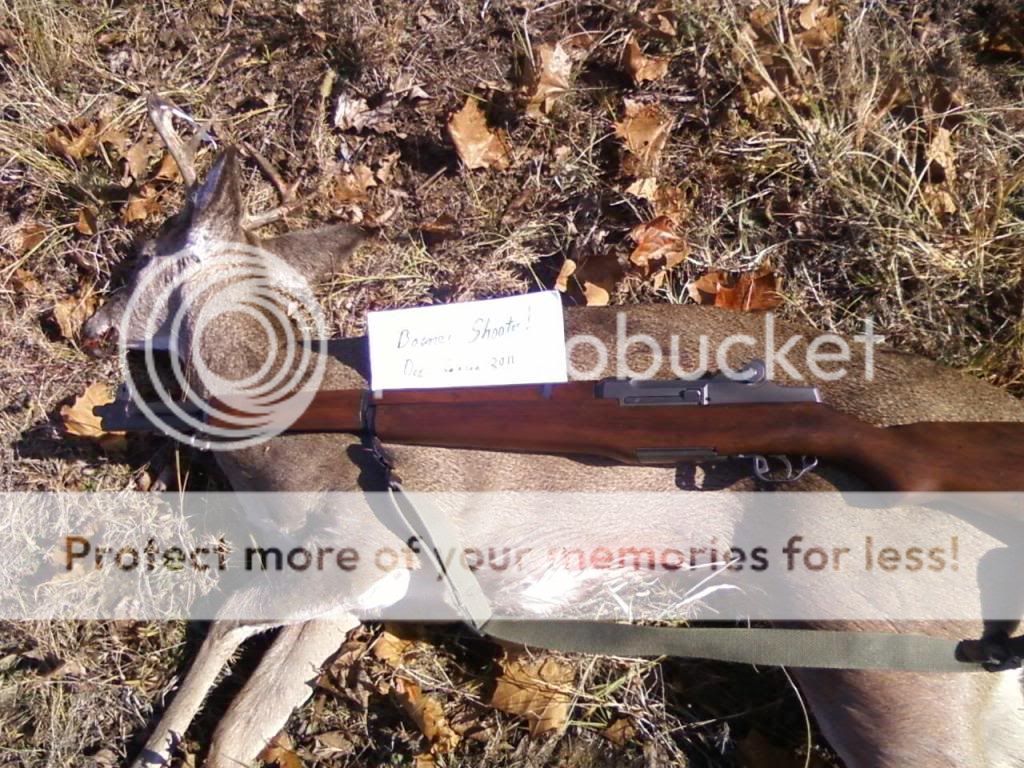 Deer1.jpg