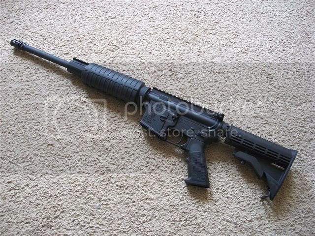 100_6331Small.jpg