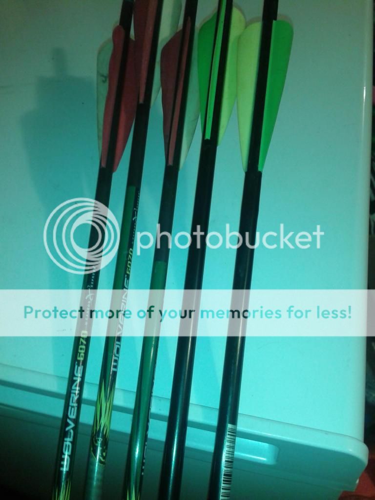 2012-11-19181750.jpg