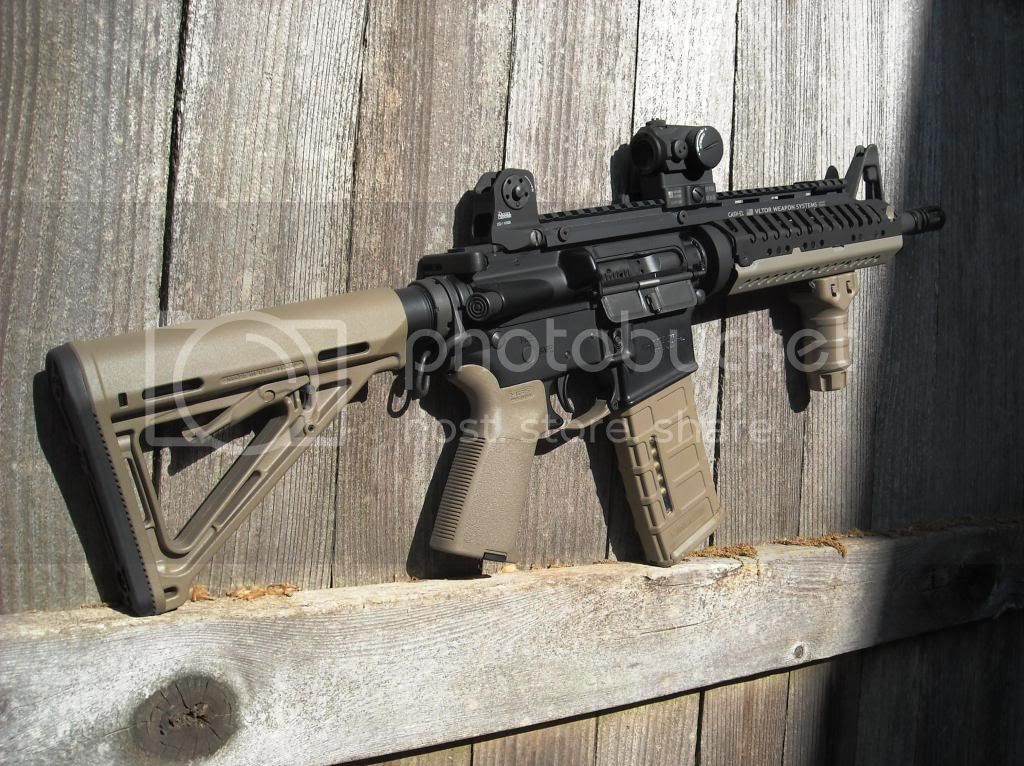 shorty.jpg