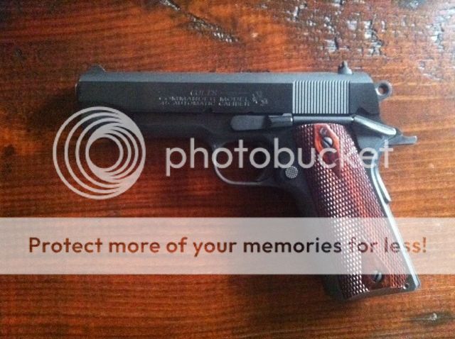 colt1.jpg