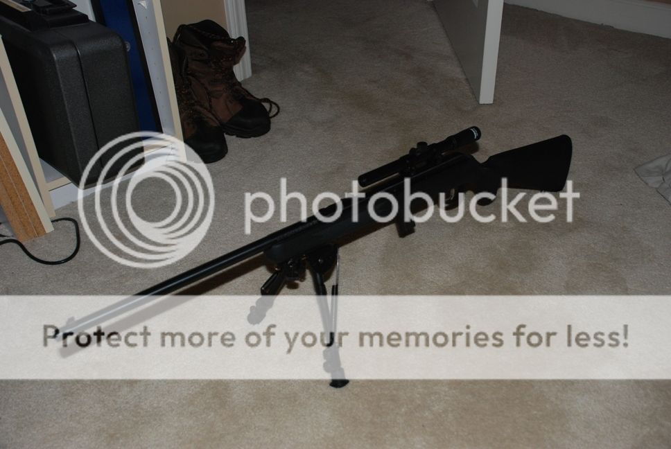 DSC_9118-crp.jpg