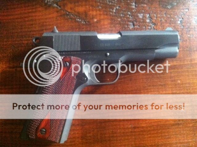 colt2.jpg