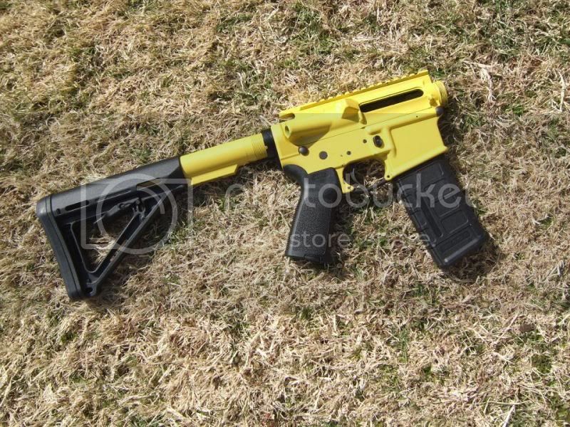 KillerBee6.jpg