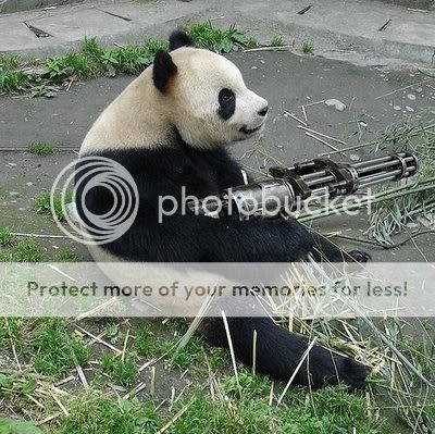 pandas-need-guns1.jpg