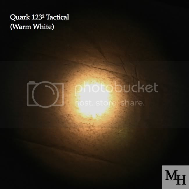 099f9930.jpg