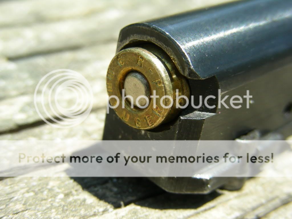 DSCN4095-1.jpg