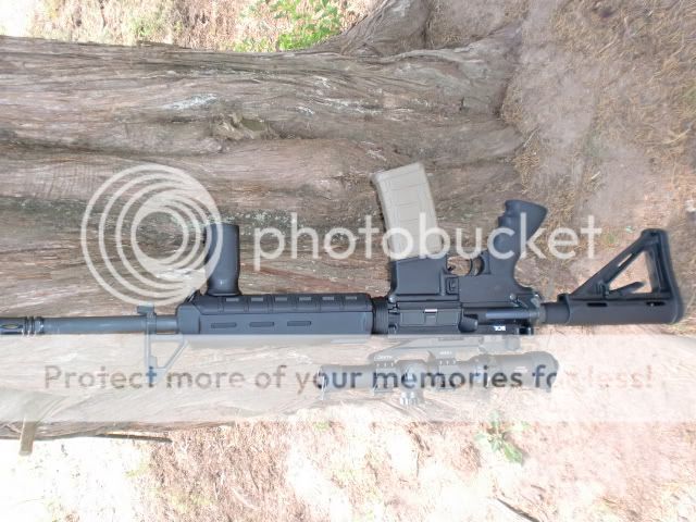 CIMG3341.jpg