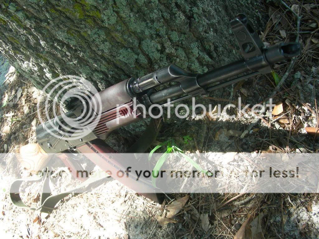 DSCN4184.jpg