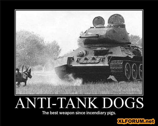 GunPoster3.jpg