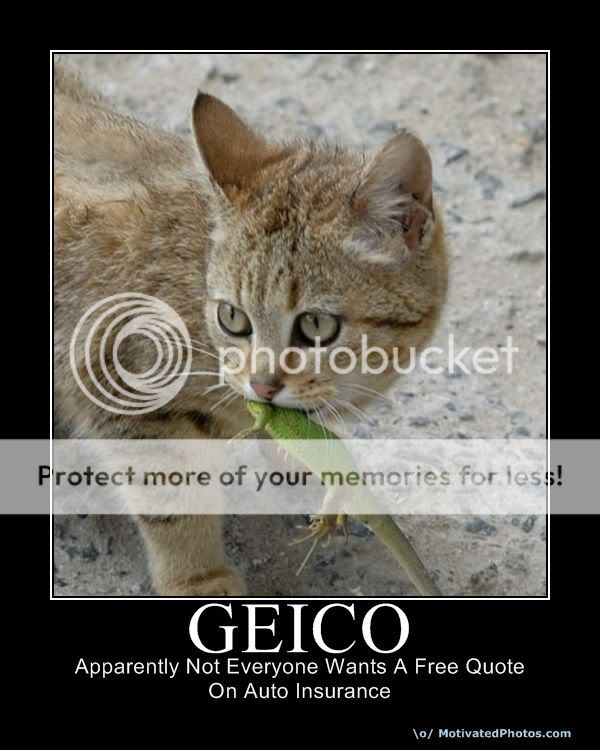 633924546941865870-geico.jpg