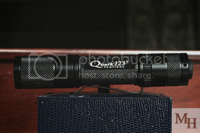 2b46f154.jpg