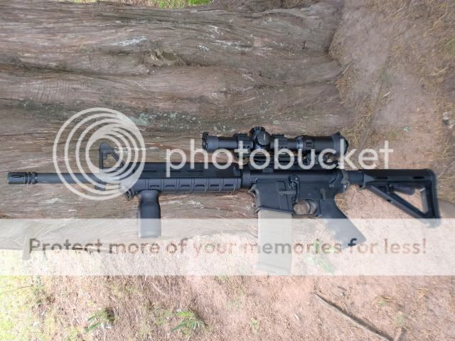 CIMG3340.jpg