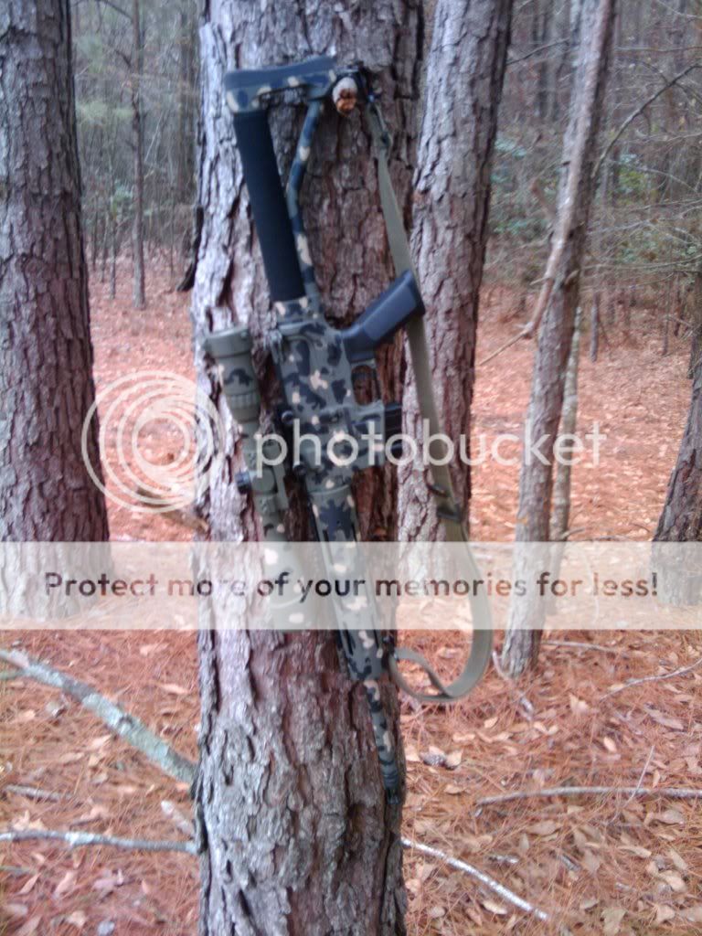 2011-01-31134641.jpg