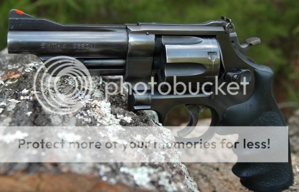 DSC_1661.jpg