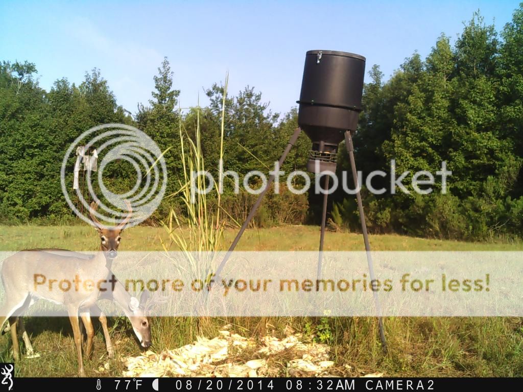 IMG_0033_zps977de342.jpg