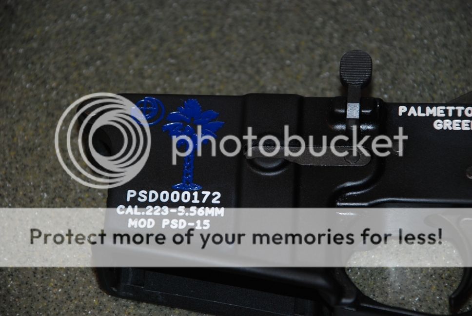 DSC_9114-crp.jpg