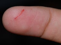 papercut.jpg