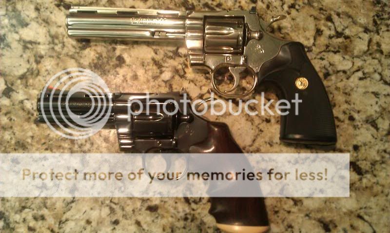 colt.jpg