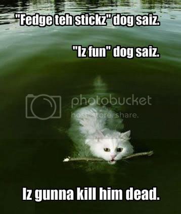 stickfetch.jpg