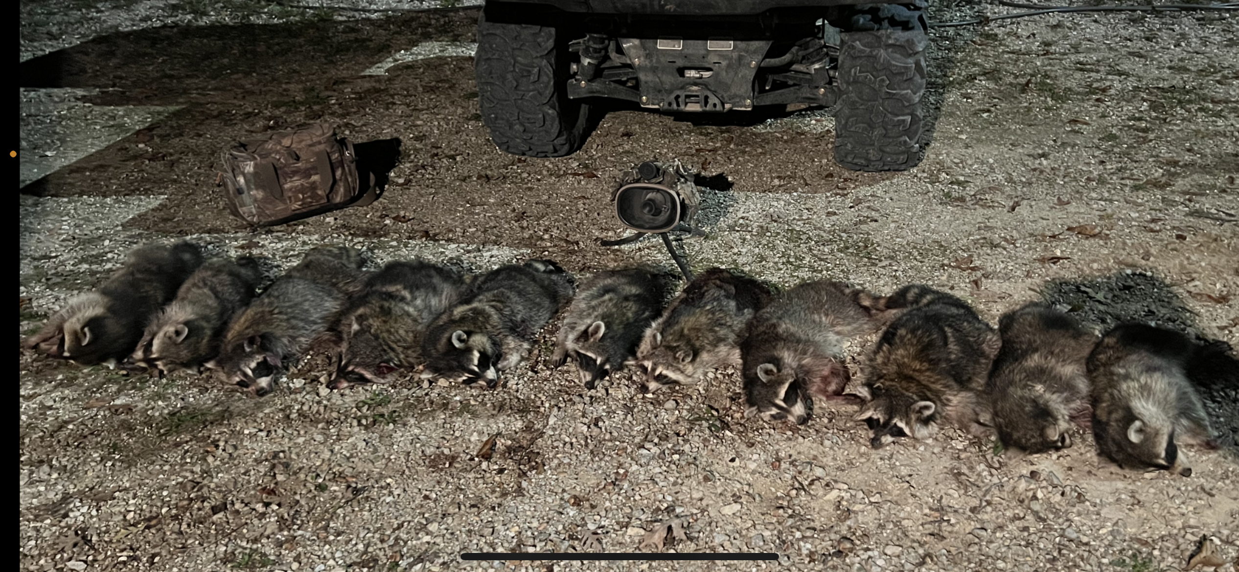 www.missouriwhitetails.com