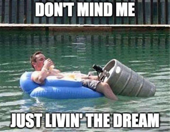 Dont-mind-me-just-living-the-dream-meme.jpg