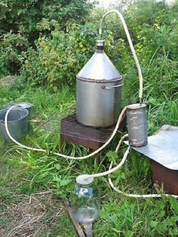 samogon-e1273262655934.jpg