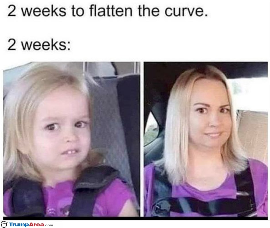 2-weeks5240.jpg