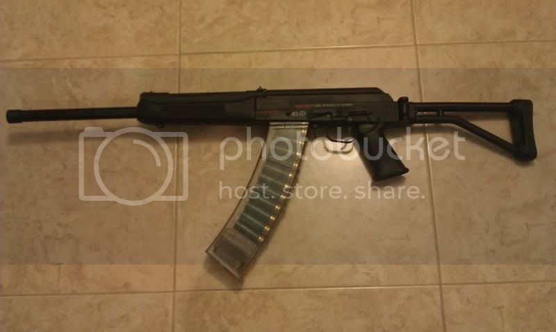 saiga-1.jpg