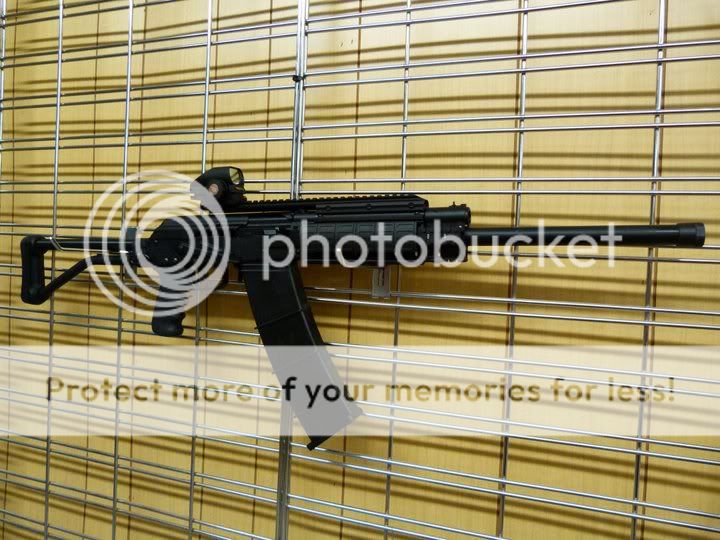 saiga2.jpg