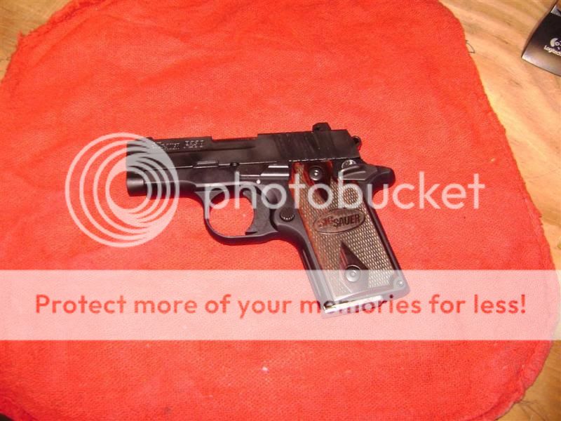 Sig_238_Nitro_380.jpg