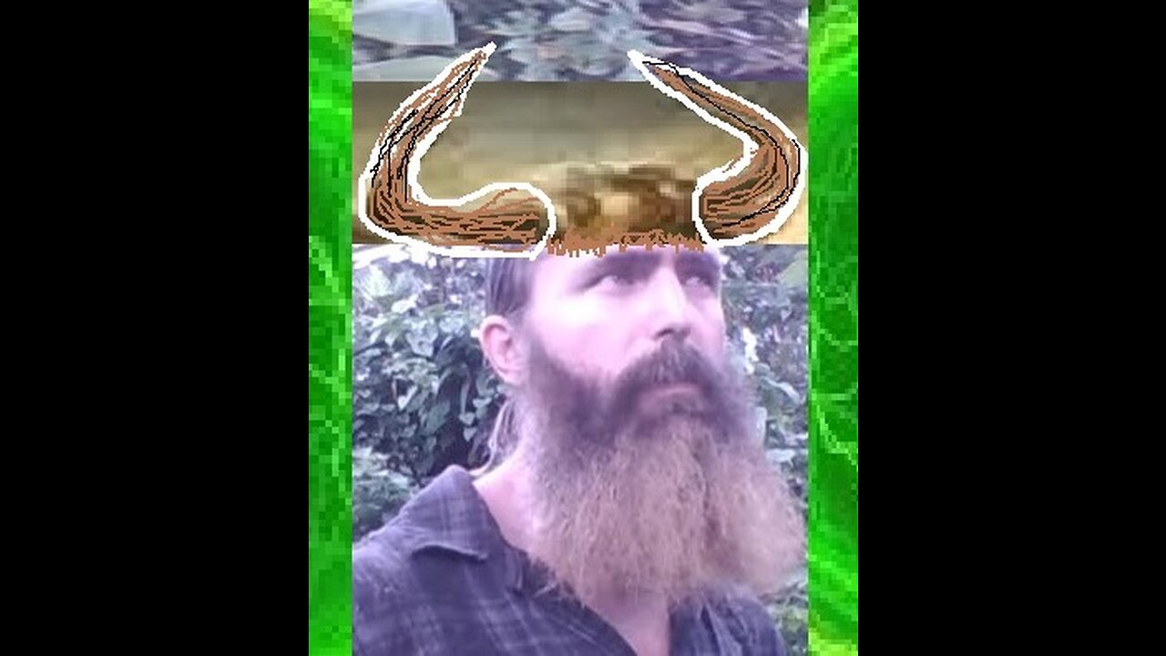 rumble.com
