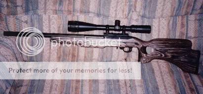 10-22_Ruger.jpg