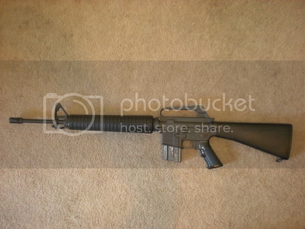 Rifles001.jpg
