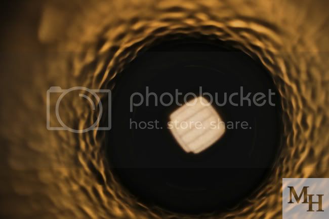 76ef50f7.jpg