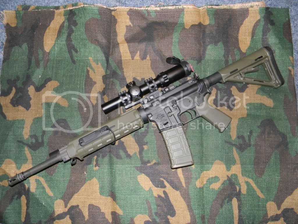 AR005.jpg