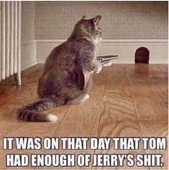 tom-jpg.16721