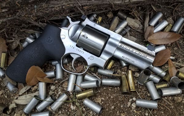 www.thetruthaboutguns.com