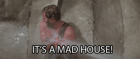 planet of the apes its a mad house GIF