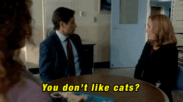 Episode 2 Cats GIF by The X-Files