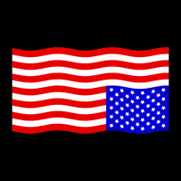 United States America GIF by INTO ACTION