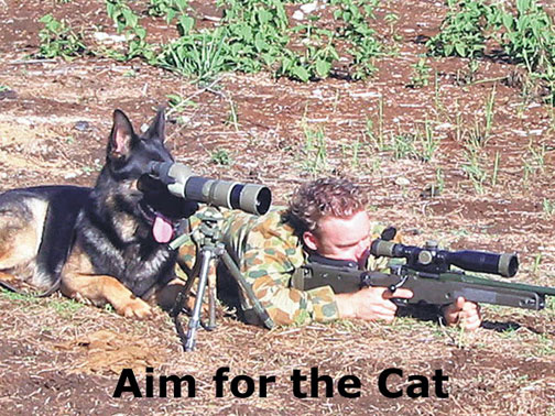 23438d1206423552-funny-pic-dog-lovers-gun-folks-get-cat.jpg